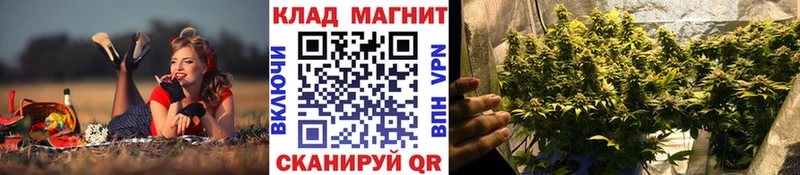 Купить Белая Холуница СОЛЬ  Cocaine  Метадон  МЕФ  Бошки Шишки  ГАШ 