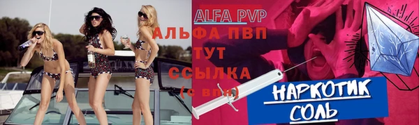 стаф Алзамай