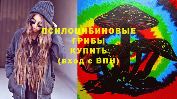 стаф Алзамай