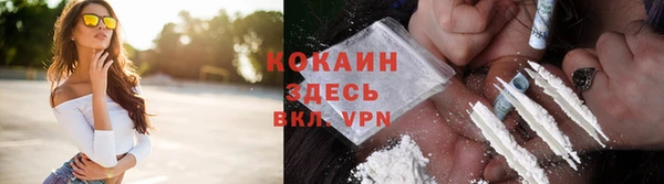 шишки Армянск