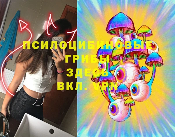 амф Арсеньев