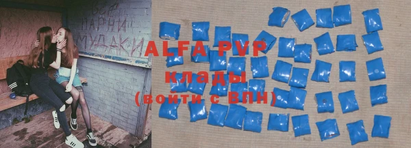 стаф Алзамай