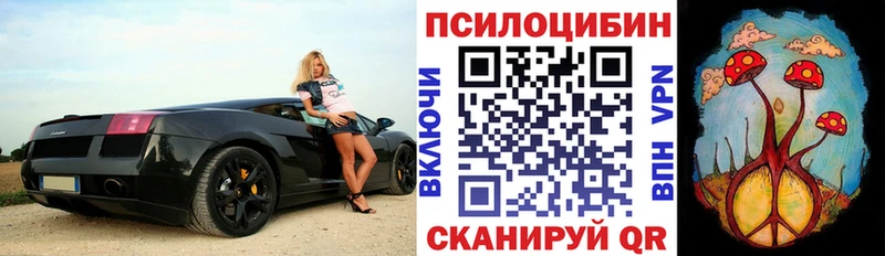 это состав  Белая Холуница  Псилоцибиновые грибы Cubensis  купить закладку 